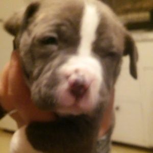 Meet your Posher, Tasha