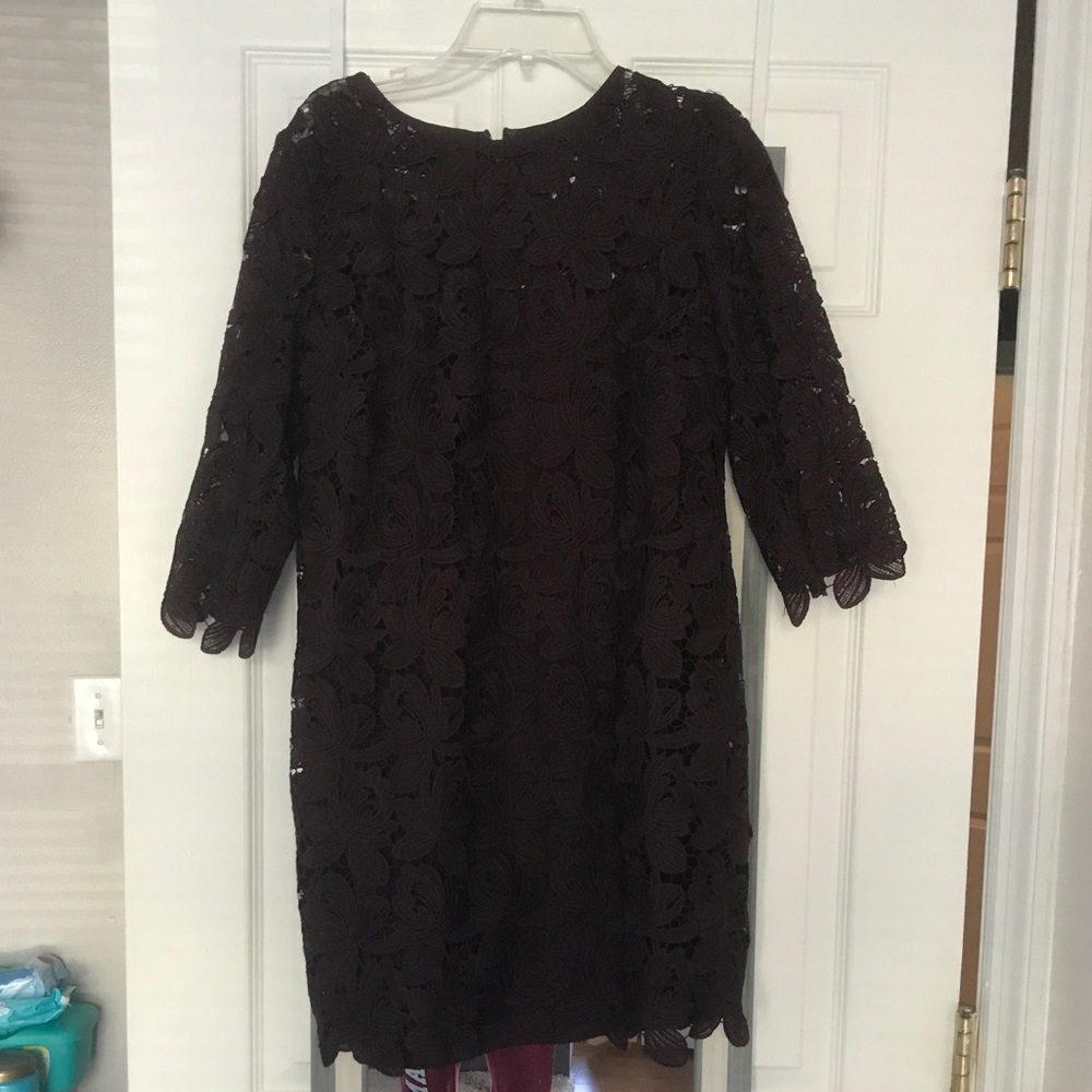 LOFT lace dress