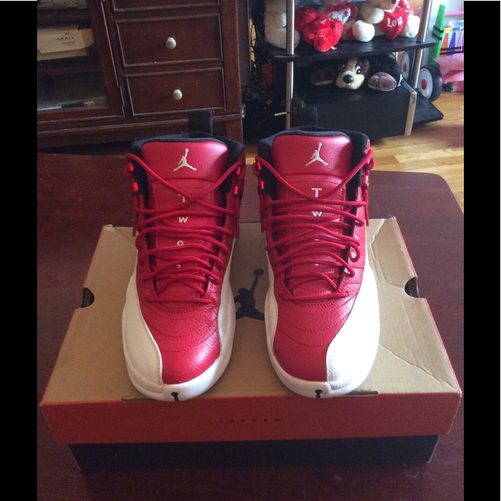 Air Jordan 12s