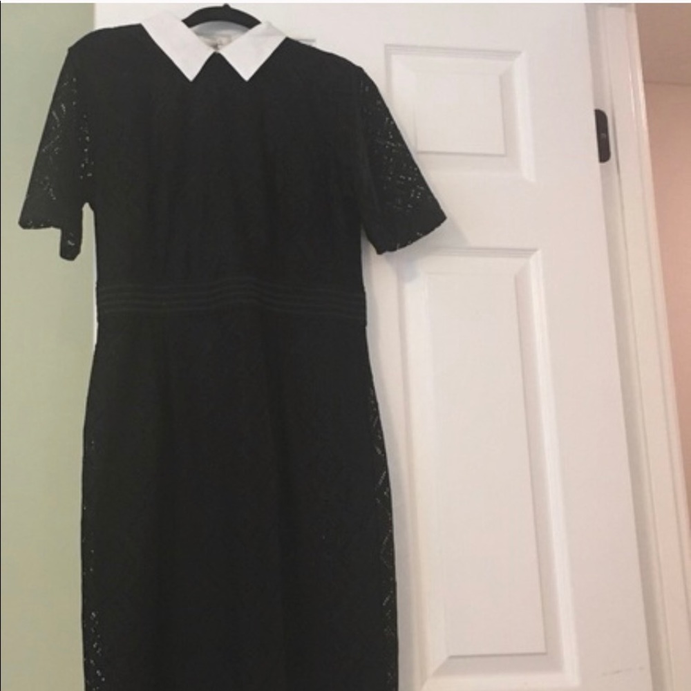 New York & Company Black Lace Sheath Dress