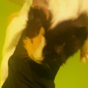 Meet your Posher, Tim