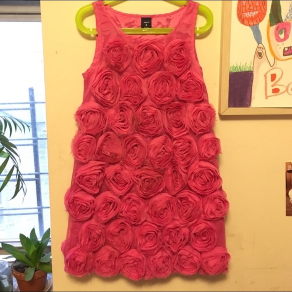 Rose Appliqué Dress 🌹