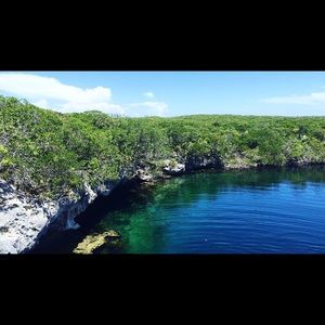 Meet your Posher, Bella