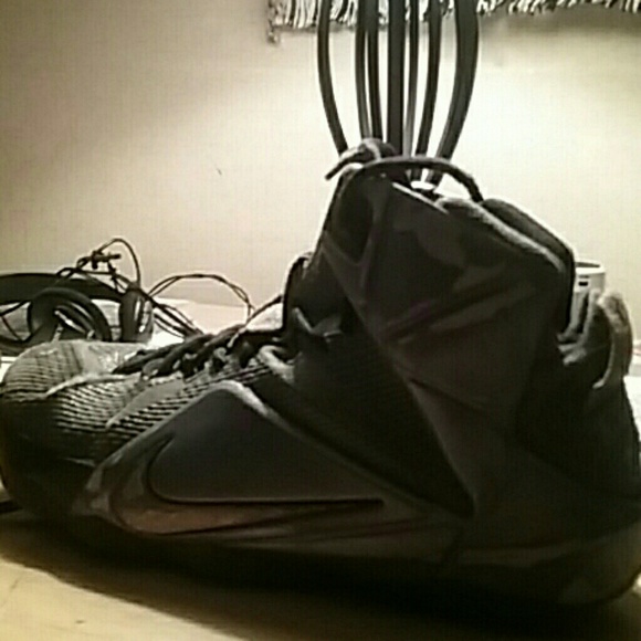 Lebron - Picture 1 of 1