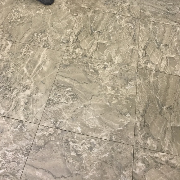 Meet your Posher, Rosa - Picture 1 of 1