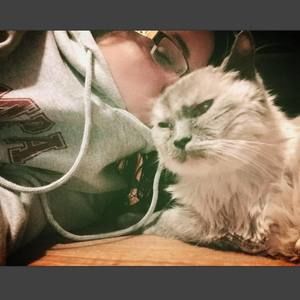 Meet your Posher, Deziree