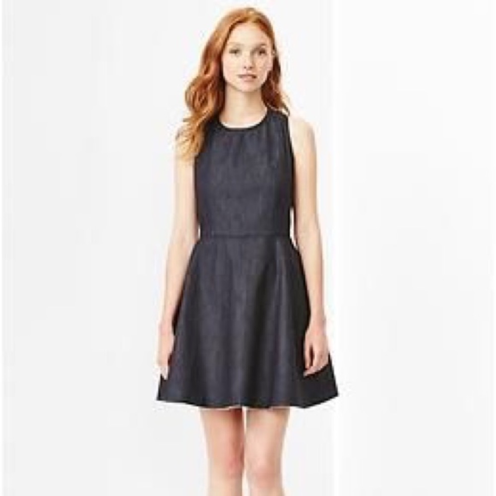 Gap 1969 Zip Back A Line Denim Dress