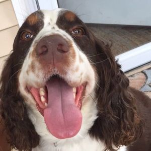 Meet your Posher, Ryan