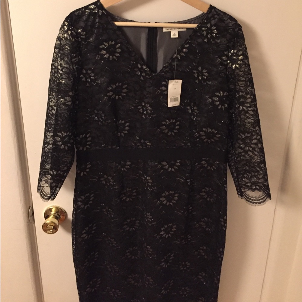NWT Banana Republic Metallic Lace Overlay Dress