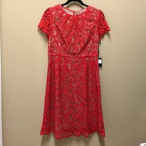 Adrianna Papell  Scalloped Hem Lace Dress