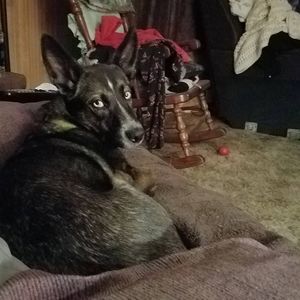 Meet your Posher, Wendy