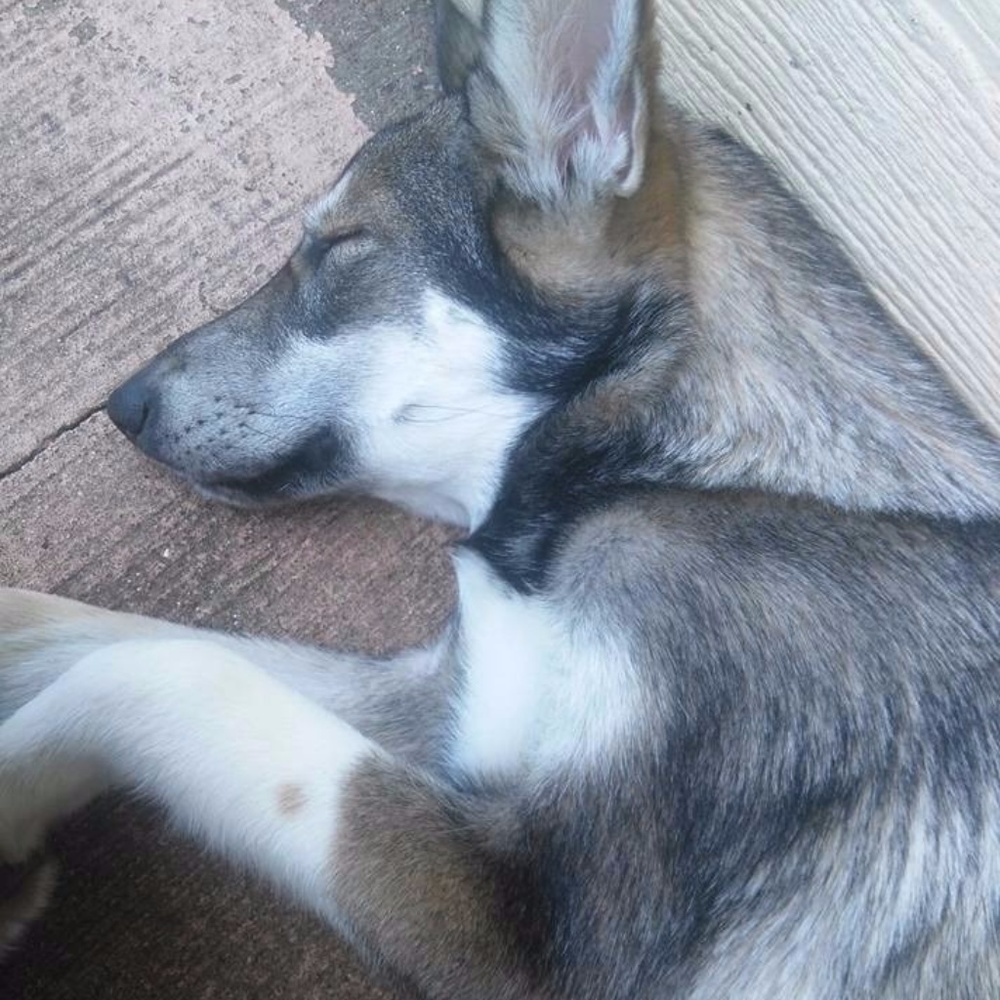 Meet your Posher, Lyn