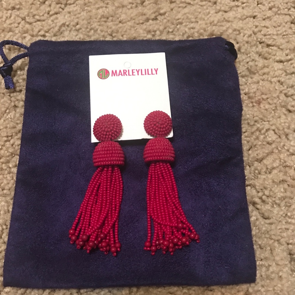 ❌sold❌ Tassel earrings