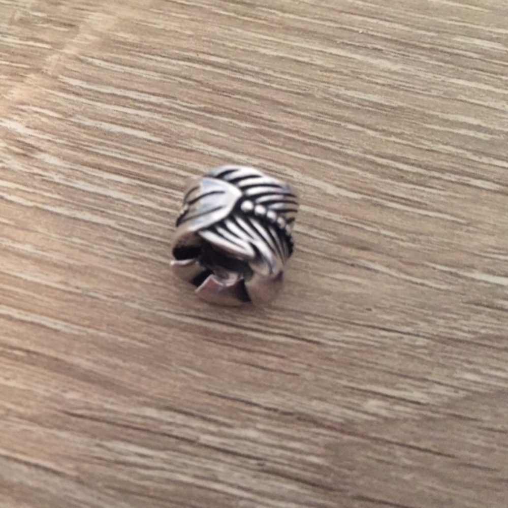 Feather charm