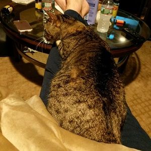 Meet your Posher, Reid