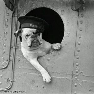 Meet your Posher, Carlos