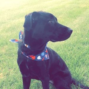 Meet your Posher, Jonathon