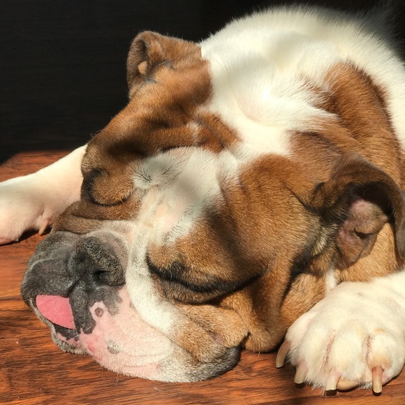 Meet Your Posher! - Picture 3 of 4