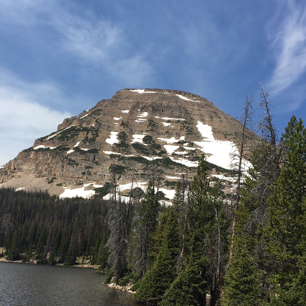 Meet your Posher, Mary