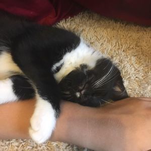 Meet your Posher, Jenna