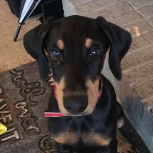 Meet your Posher, Brooke