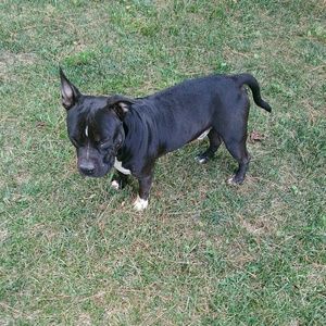 Meet your Posher, Jaylen