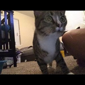 Meet your Posher, Marina