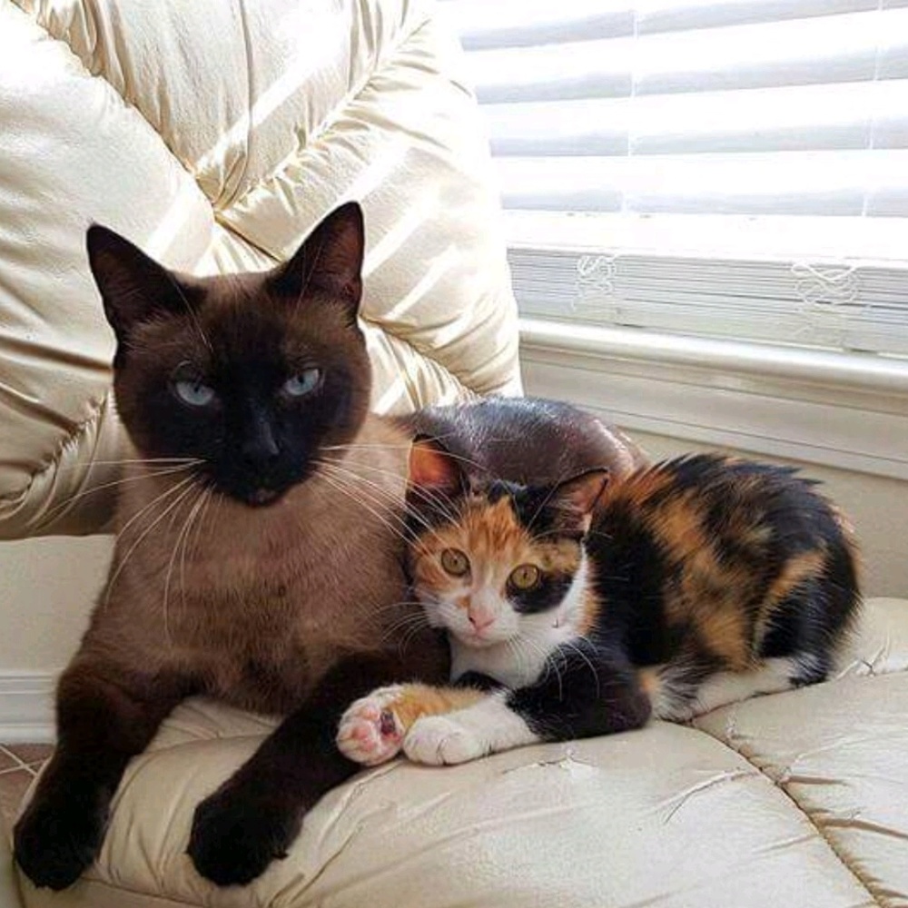 Meet your Posher, Nichole