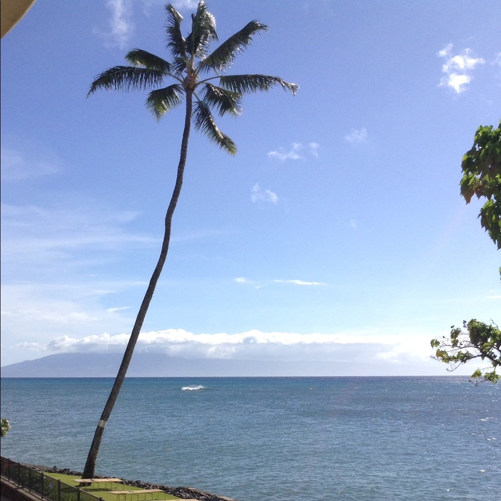 Meet your Posher, Holly