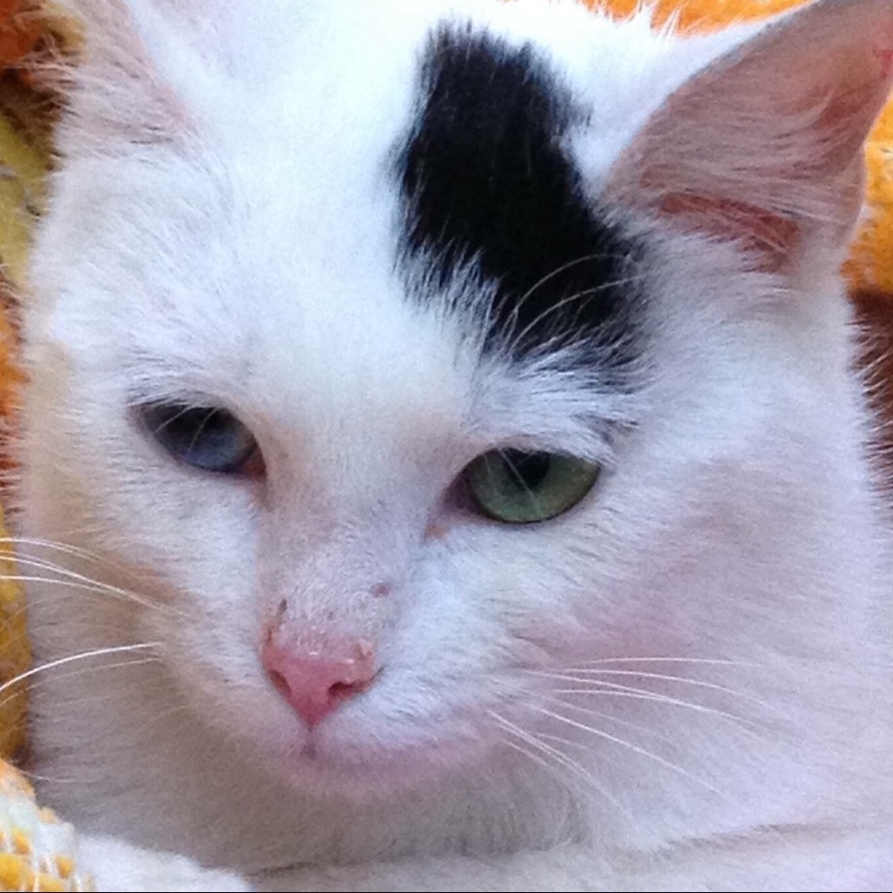 Not for sale. My Baby