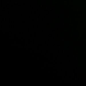 Meet your Posher, Jonas