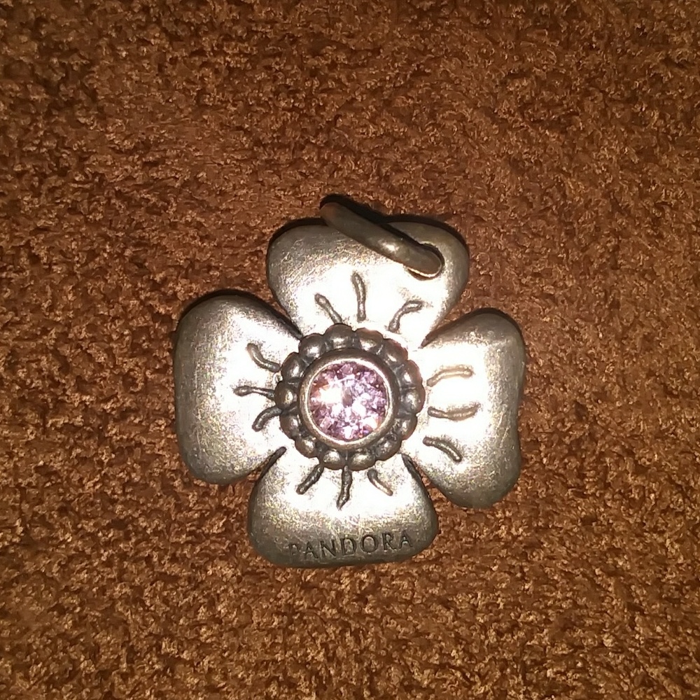 Pandora Charm