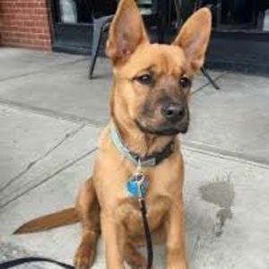 Meet your Posher, Kerry