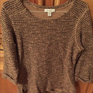 Coldwater Creek Sweater