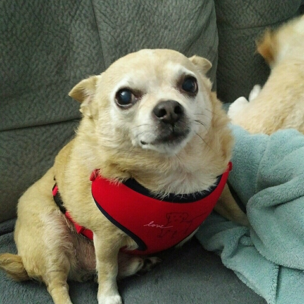 Meet your Posher, April