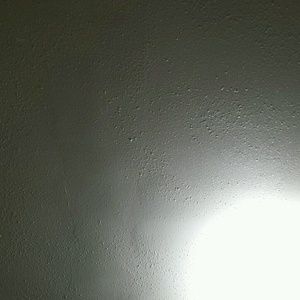 Meet your Posher, Regina