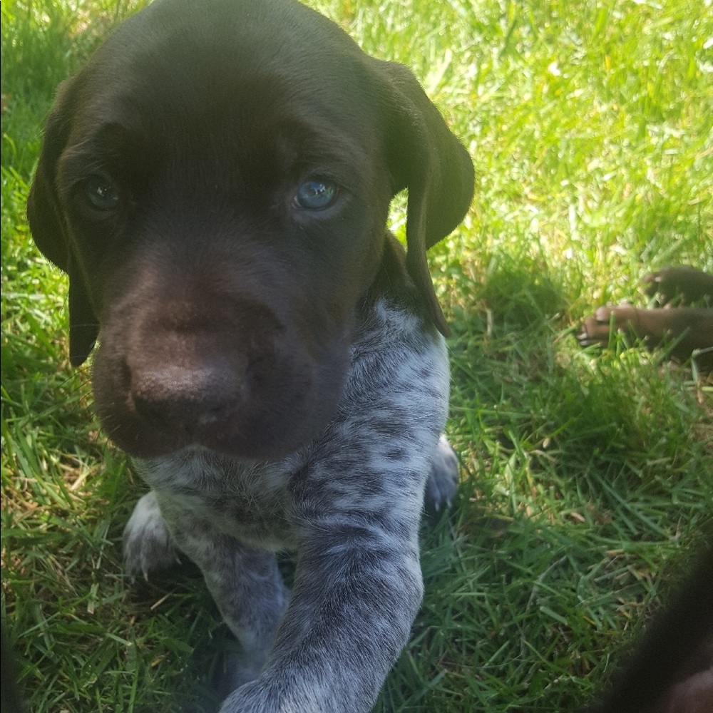 Meet your Posher, Allison