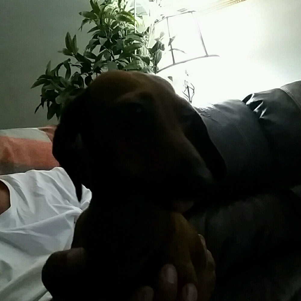 Meet your Posher, Joe