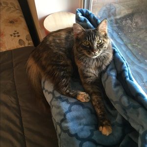 Meet your Posher, Ashleigh