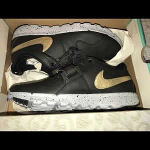 Brand new Nike trainerendor size 10.5