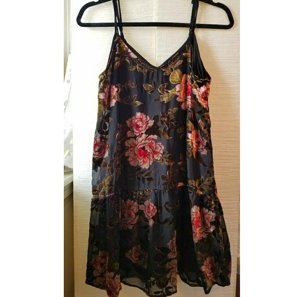 American Eagle Outfitters Floral Velvet Dress