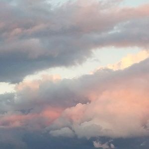 Meet your Posher, Harrison