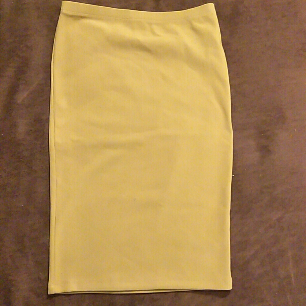 Pencil Skirt