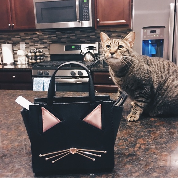 🎉HP🎉 😺 kate spade Jazz things up mini Hayden - Picture 2 of 7