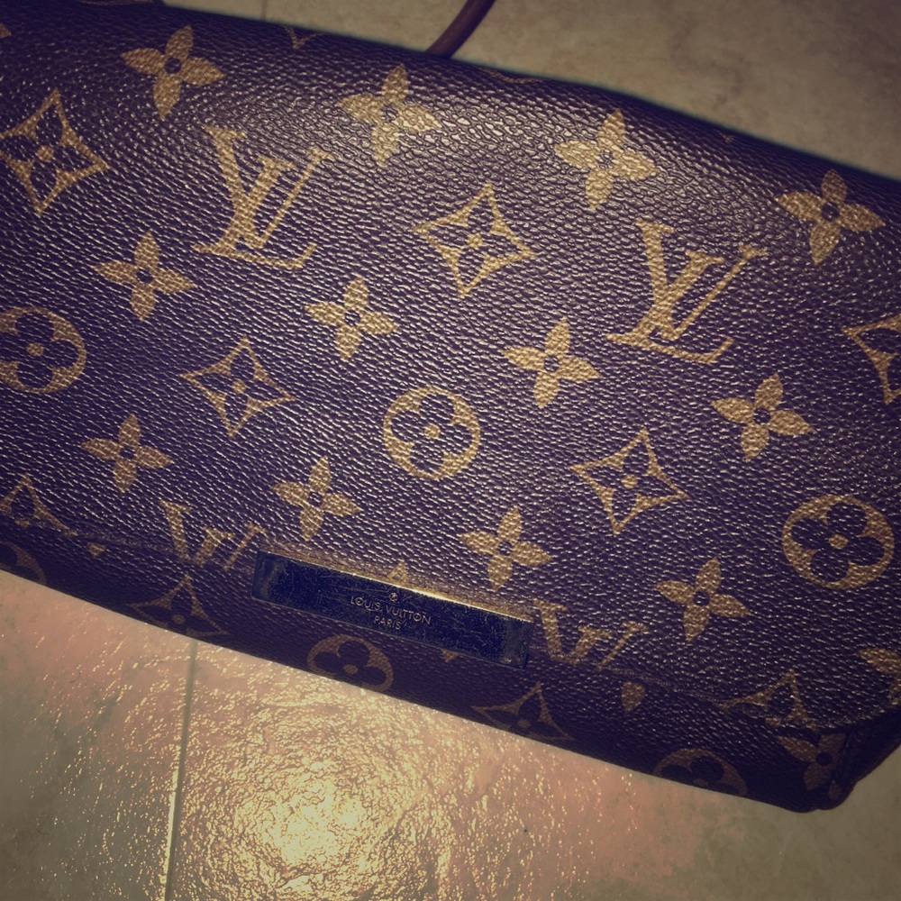 louis vutitton purse