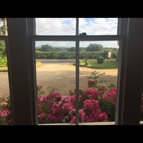 Meet your Posher, Rachel - Picture 2 of 2