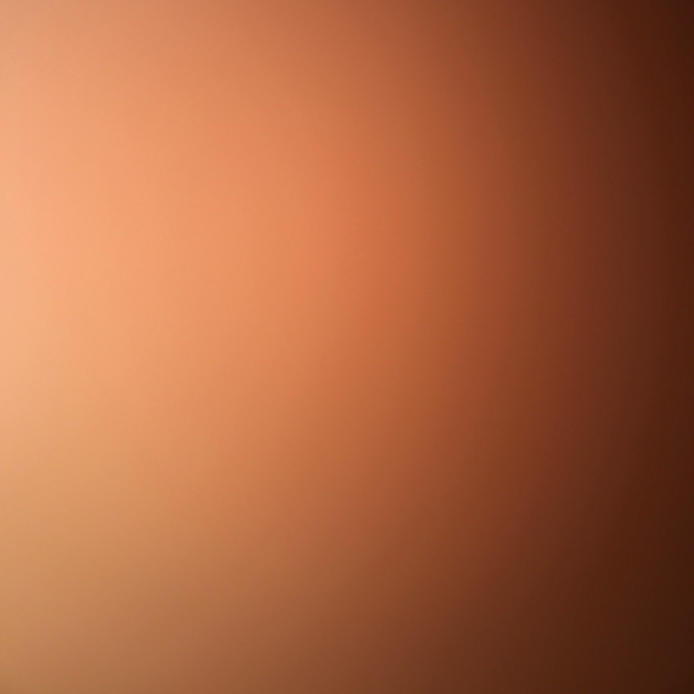 Meet your Posher, Lexi