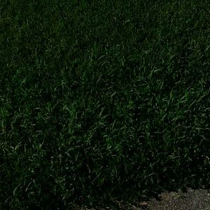 Meet your Posher, Jamal