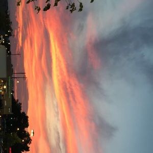 Meet your Posher, Hudsen