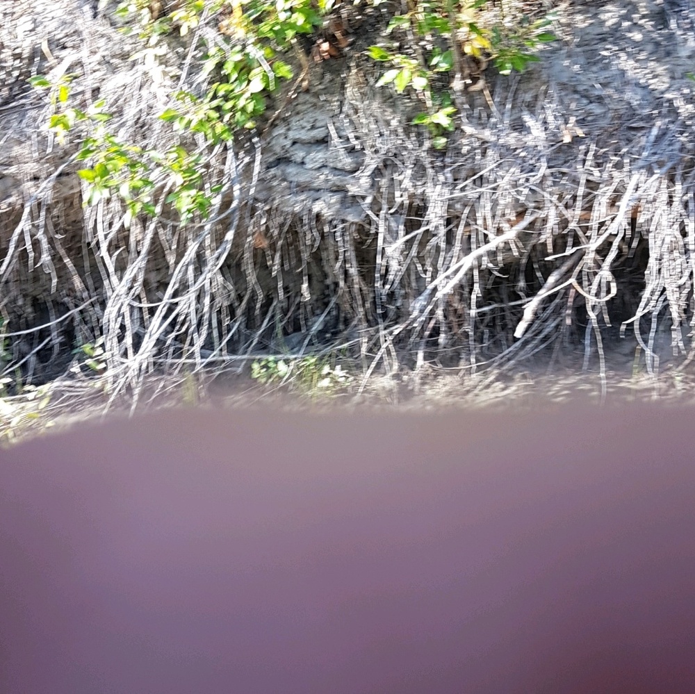 Meet your Posher, Dena